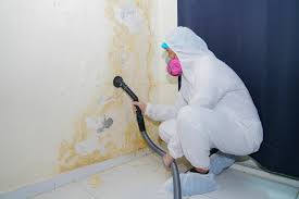 Best Basement Mold Removal  in Healdsburg, CA